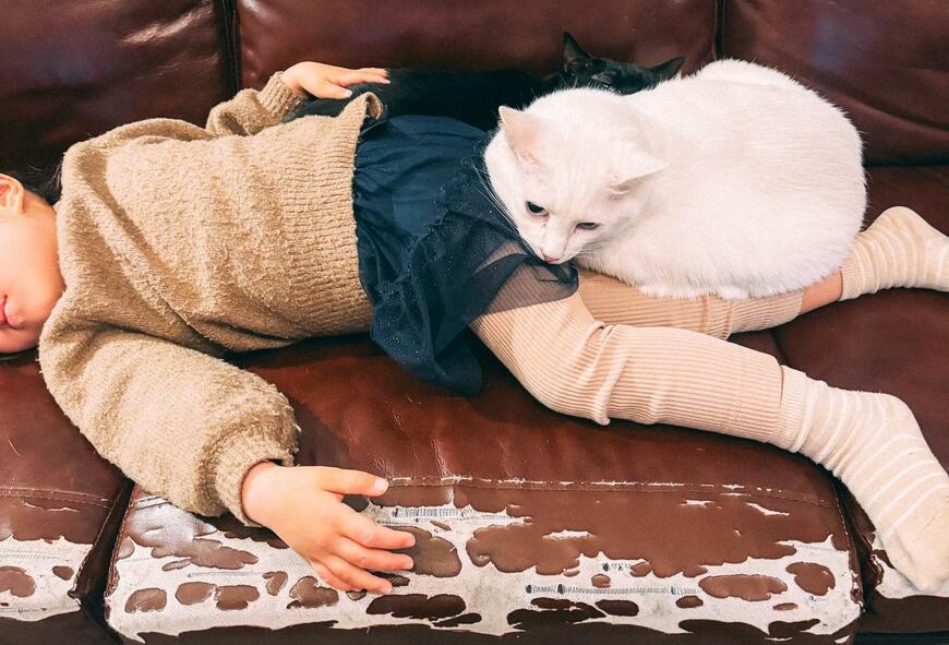 「よく見たら2匹いる」寝ている娘を温める猫　驚きと癒しの光景に反響