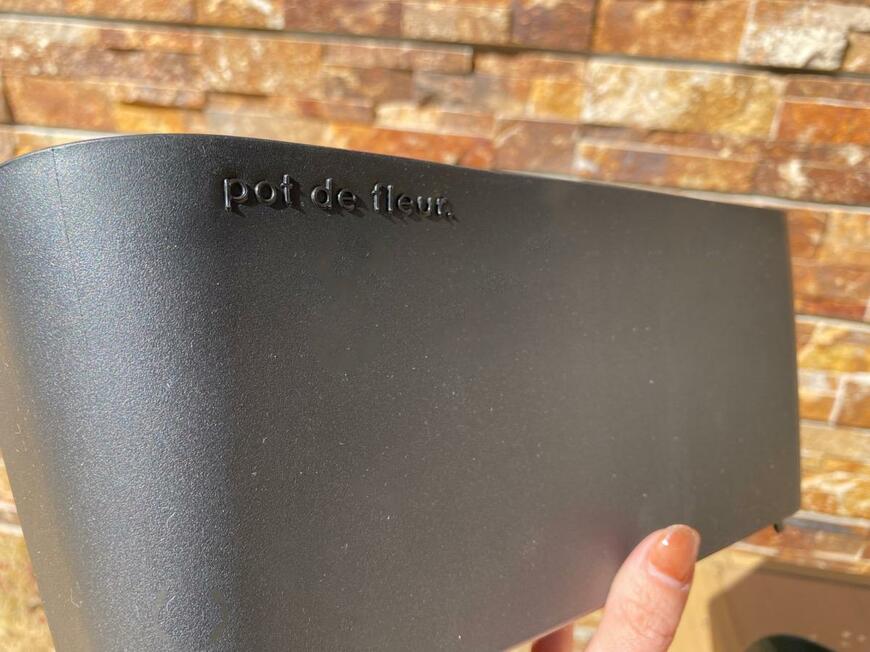 ほうれん草の種まきに初心者が挑戦