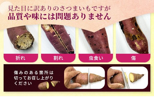 出所：ふるさとチョイス「【訳あり】生芋10kg　SSサイズ～2Lサイズ（サイズバラ）」