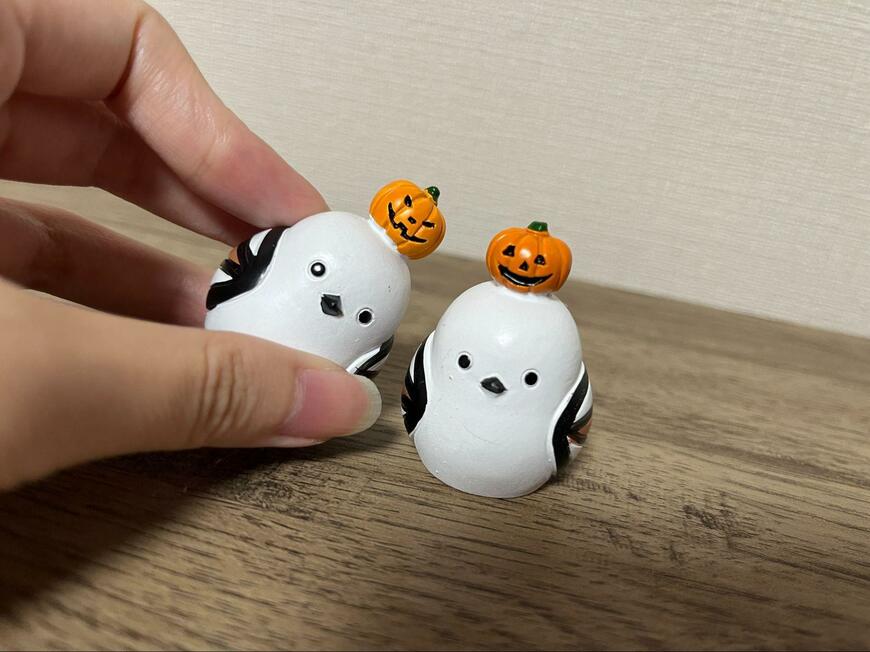 キャンドゥ、リトルフレンド頭にちょこんとシマエナガ画像