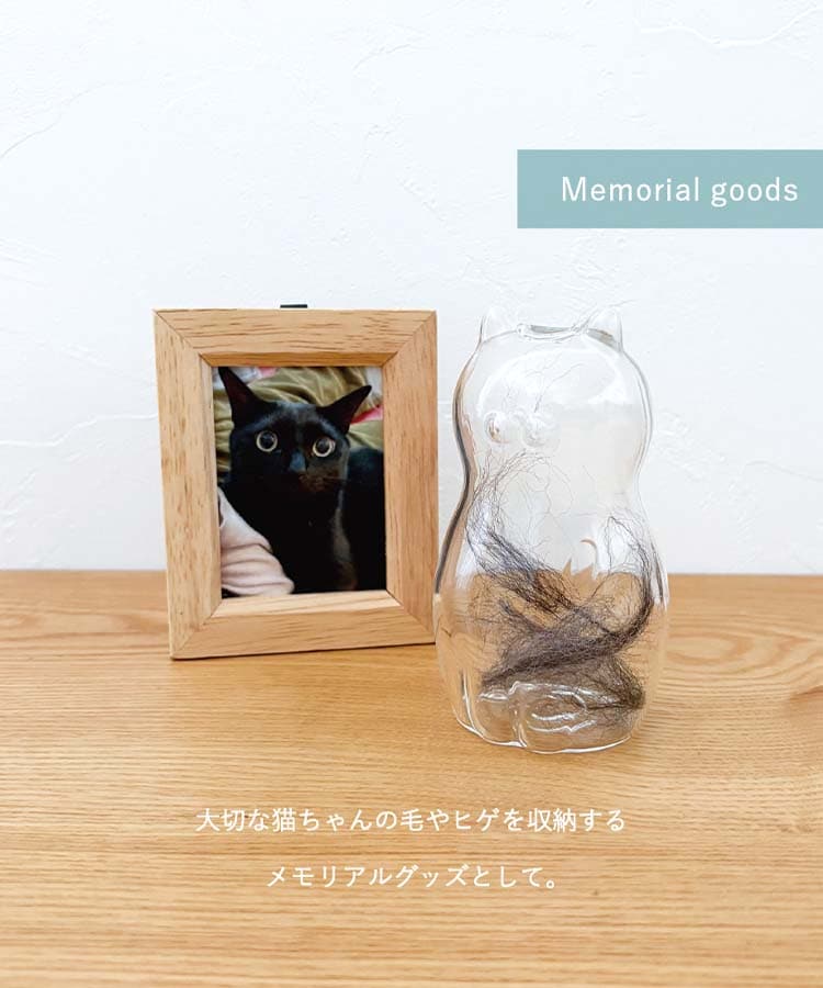 出所：Bleu Bleuet（ブルーブルーエ）公式サイト　グラスキャットベース