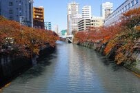 都内の路地裏に設置された珍しいマンホールを発見！「初めて見ました」「Googleマップのピンみたい」