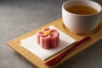 【墓じまい】改葬は年間15万件超！墓じまいにかかる費用はいくらぐらい？親族トラブルを防ぐ4つの実務ステップ