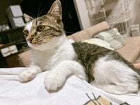 久々に「長時間の留守番」をしていた猫　悟りの境地に達した遠い目が話題「心に語りかけてくる」