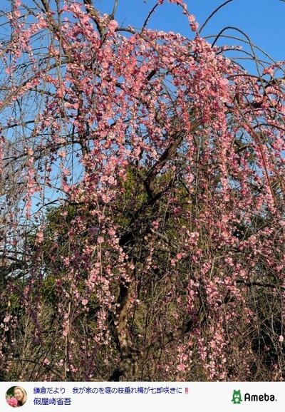 假屋崎省吾の公式ブログ投稿