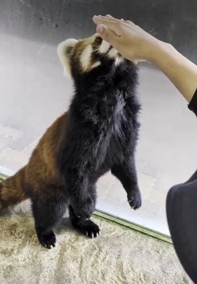 愛媛県立とべ動物園