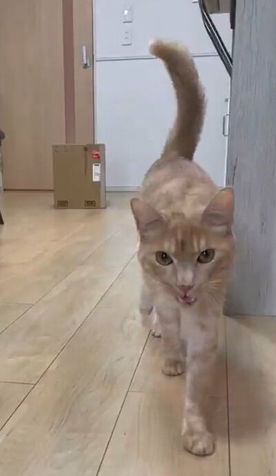 投稿動画のワンシーン