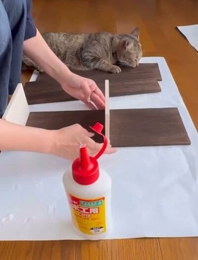 投稿の画像