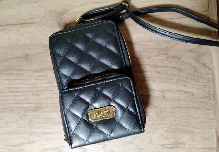 筆者撮影（宝島社、ANNA SUI じゃばら式スマホポーチ）
