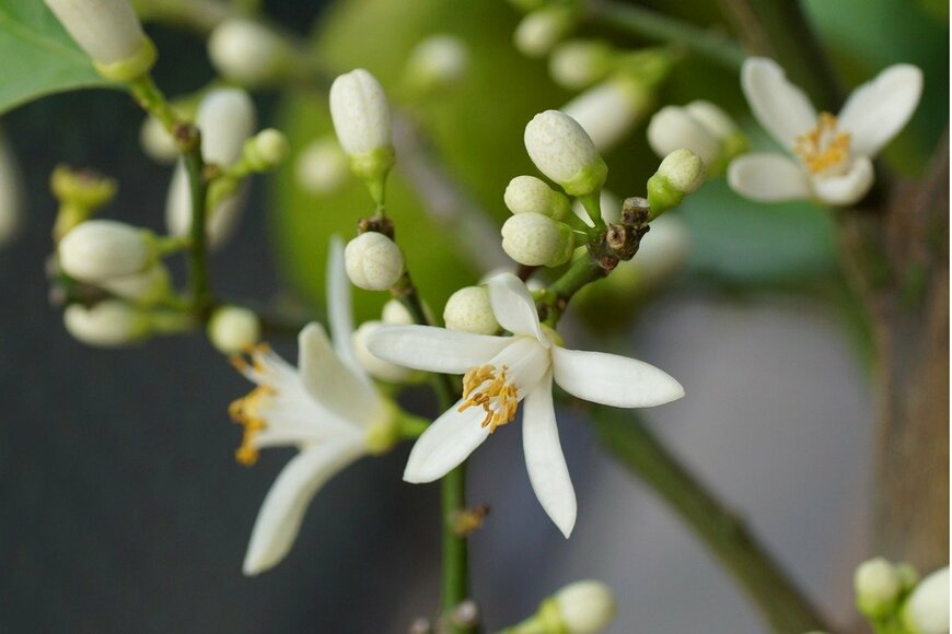 TG23/shutterstock.com