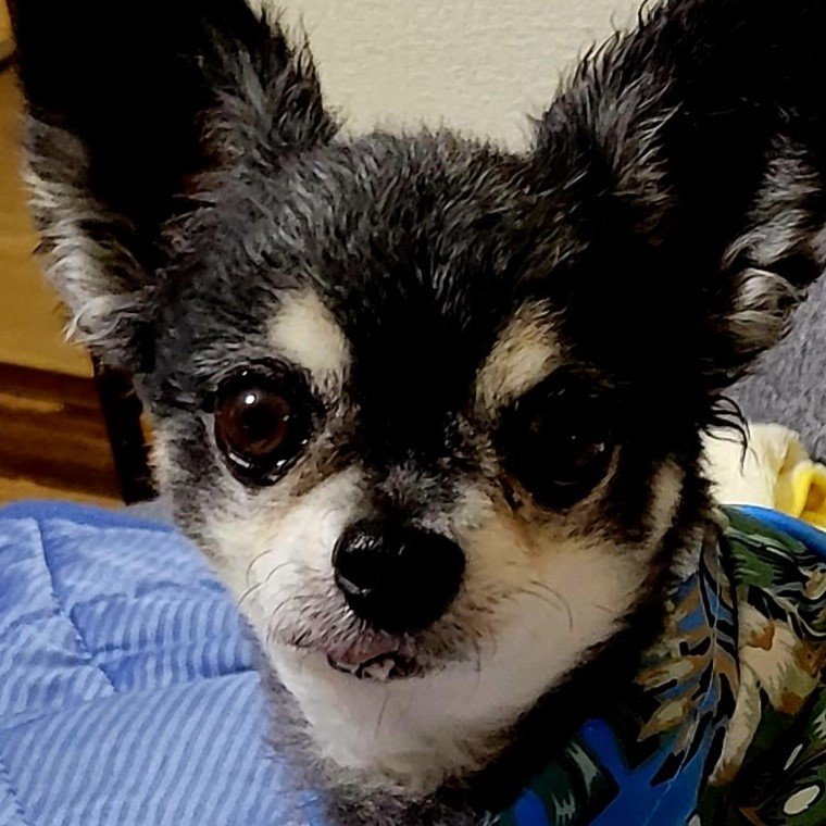 出所：@smapemichi