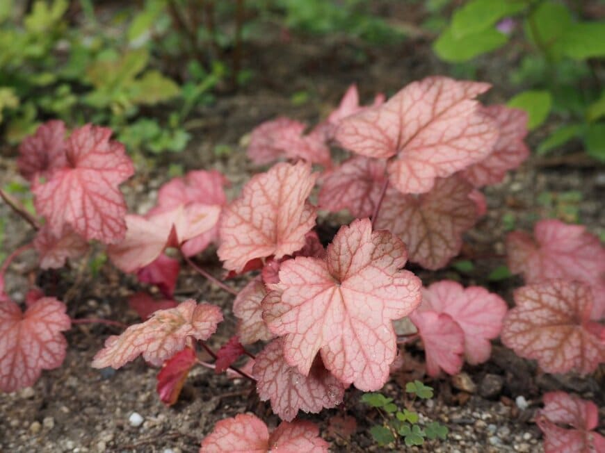 pote-poteco/shutterstock.com