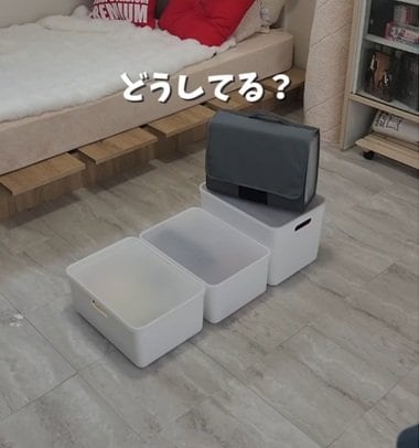 出所：@yuri_oshi.room