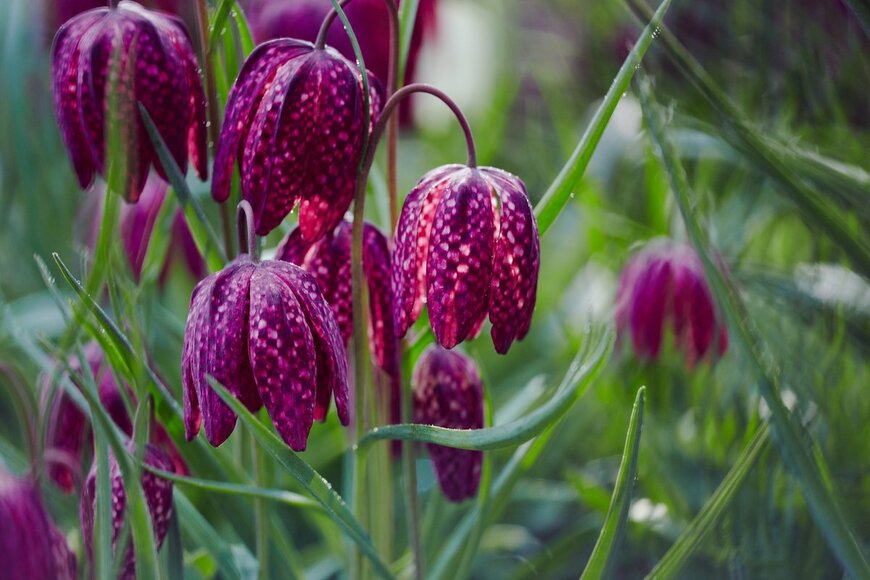 ArtSvetlana/shutterstock.com