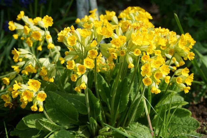 crystaldream/shutterstock.com