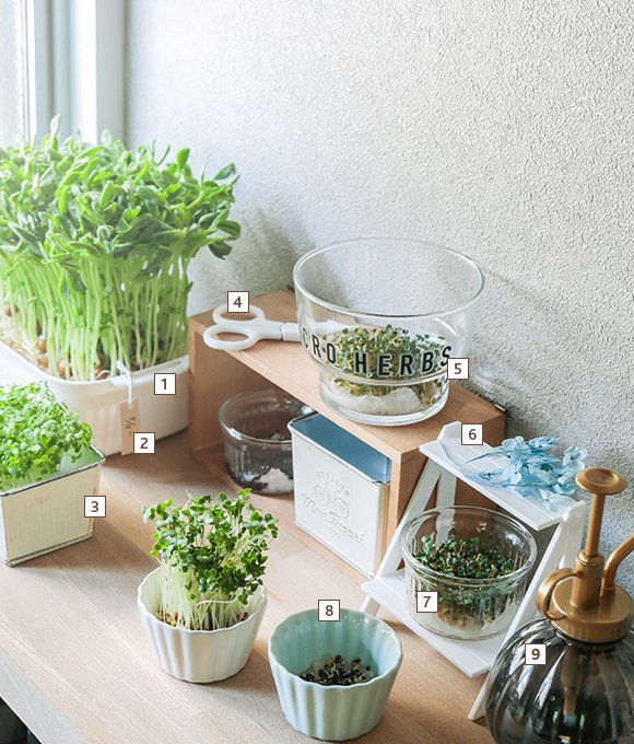 画像出典：セリア公式