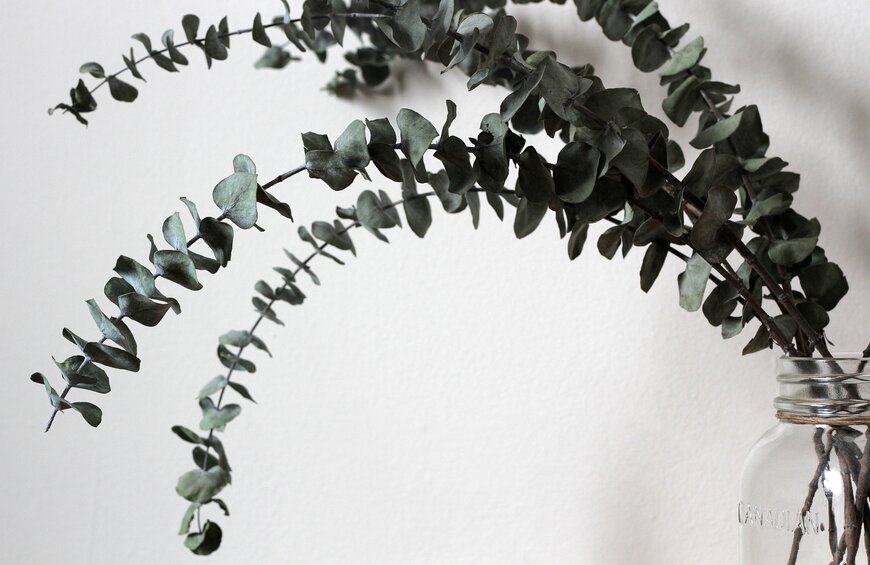 Michael L Brown/Shutterstock.com