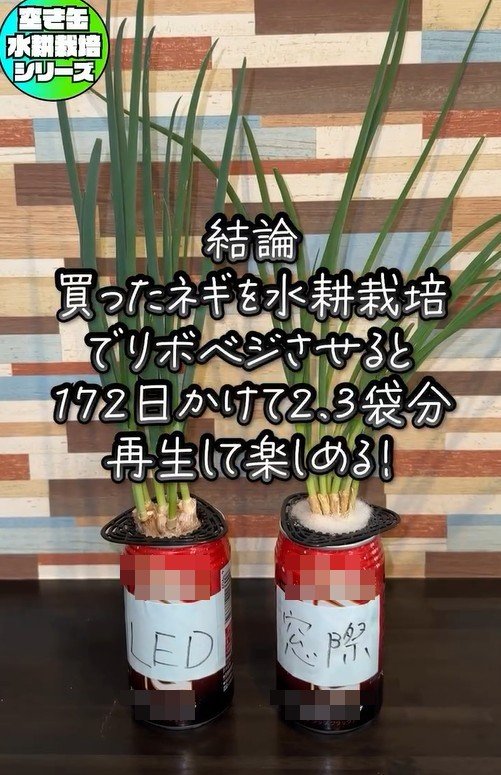 出所：mikanbo_ya19_87