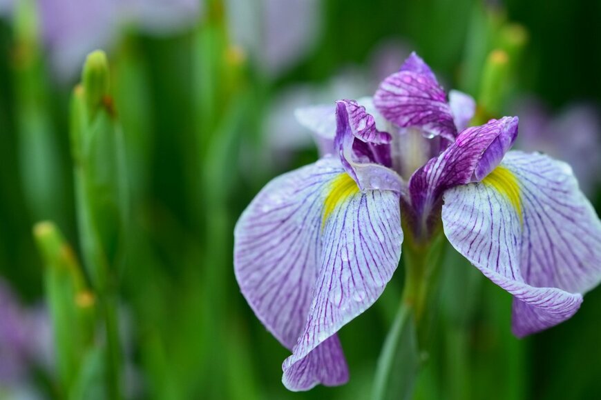 takakophoto/shutterstock.com