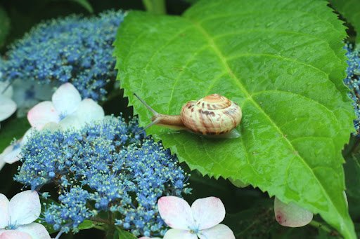 keke1245/shutterstock.com