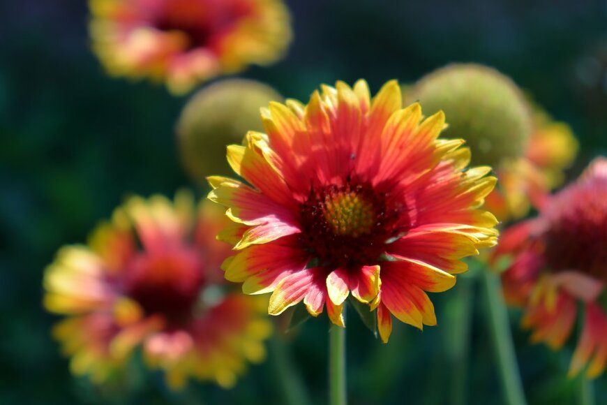 AGabriel_Photo/shutterstock.com