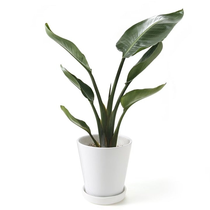 画像出所：無印良品公式オンラインストア