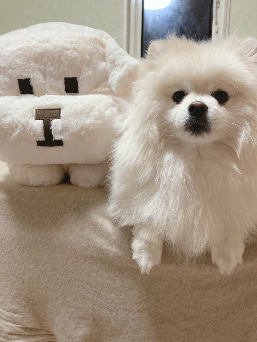 出所：@chikuwa78107742