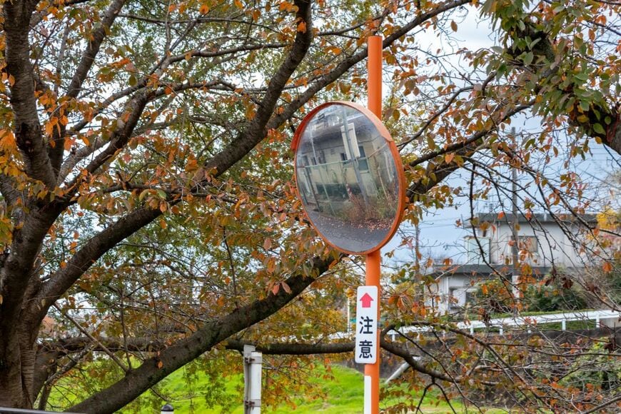 絶対に人と被らない？“カーブミラー型の手鏡”が注目の的に「商品化してほしいです」