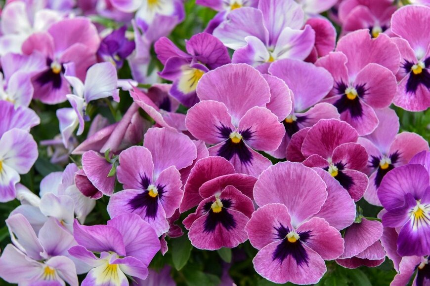 Orthosie/istockphoto.com