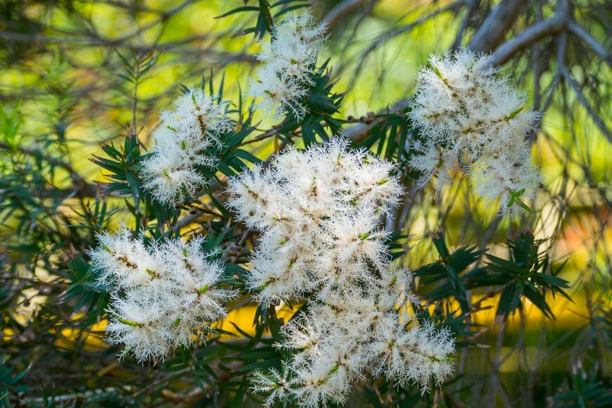 glory_yabe/shutterstock.com