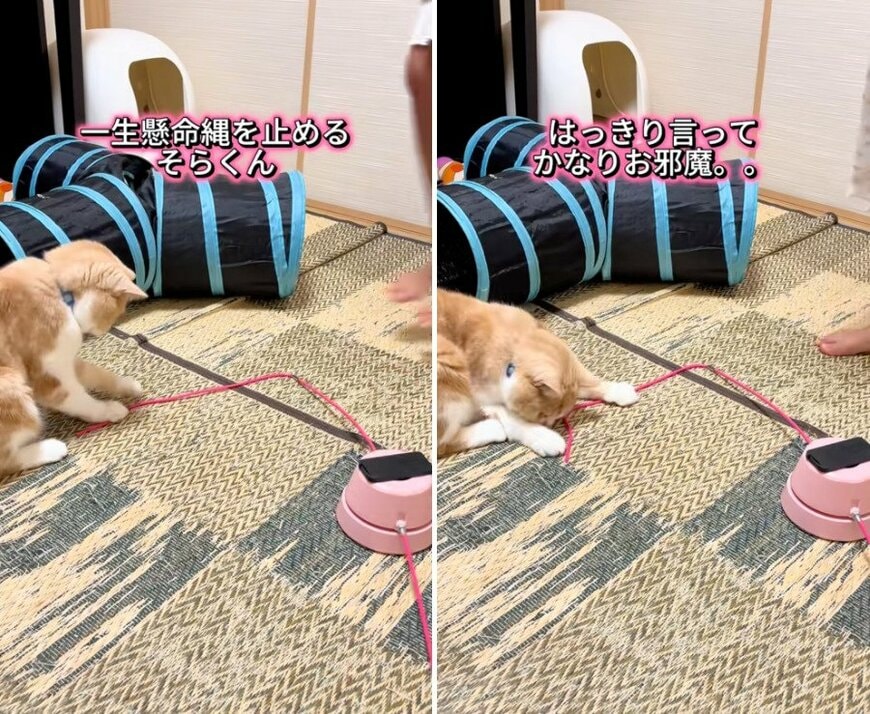 出所：@sorakai0905