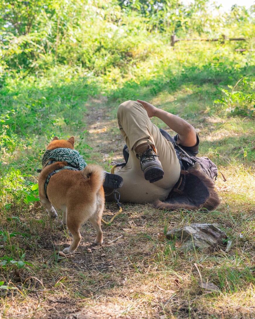 出所：@takechiyo_shiba