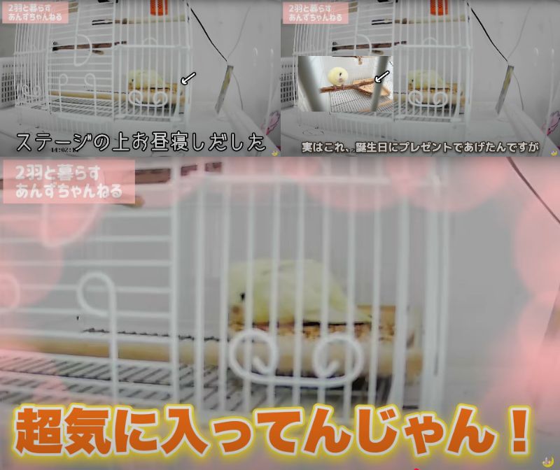 出所：@anz_omomiri