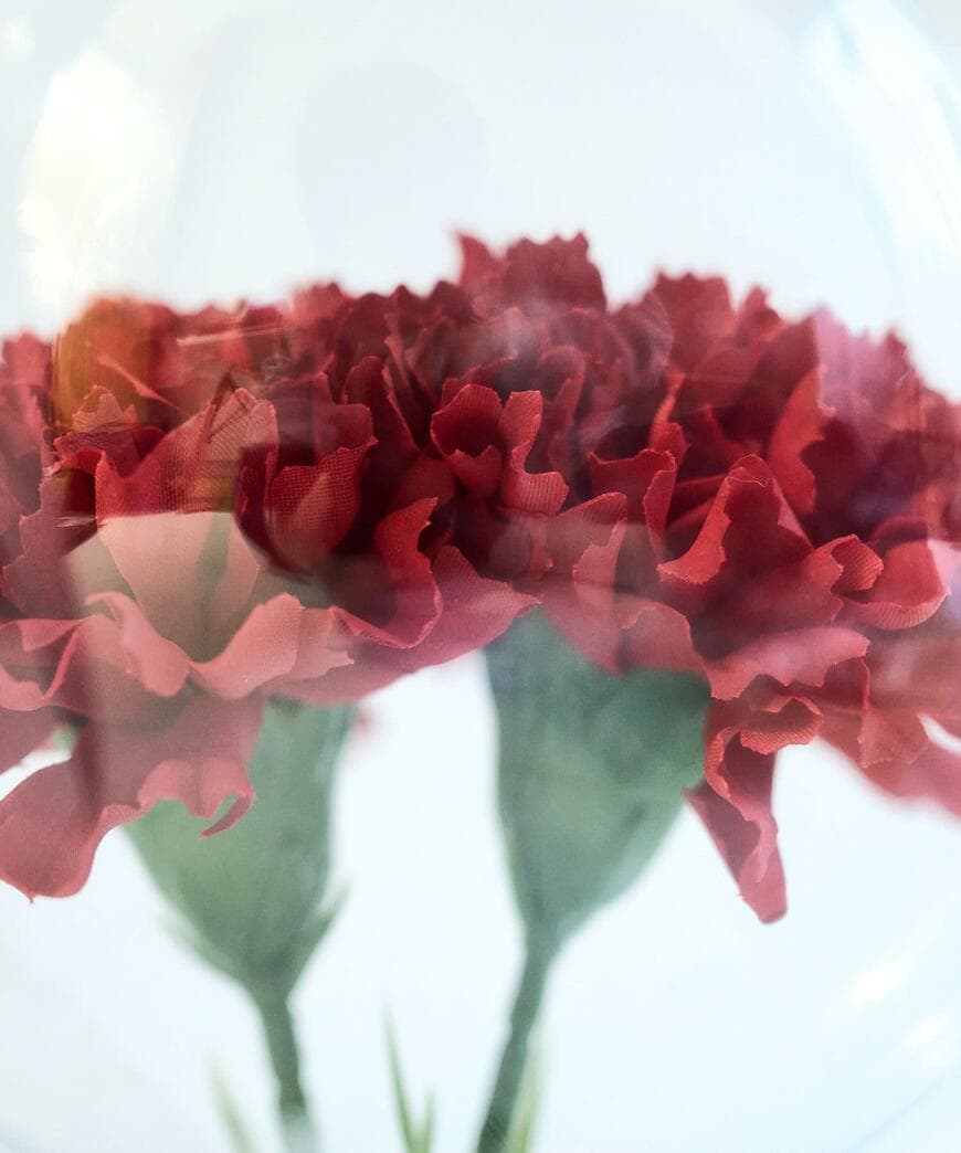 3COINS、フラワーバルーン／Happy Mother's Day！画像