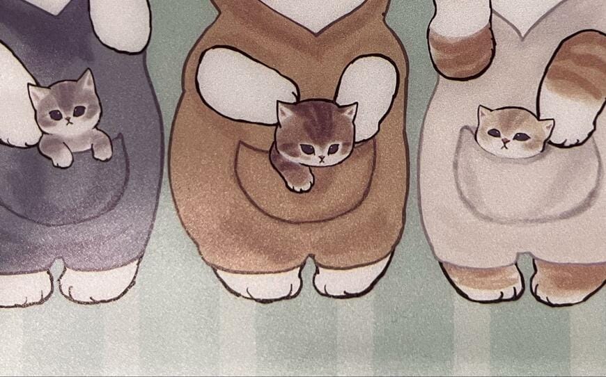 セリア、mofusand スライドマルチケース