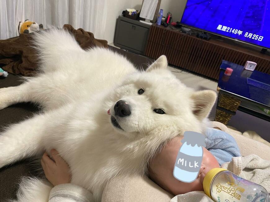 犬と赤ちゃんのツーショット