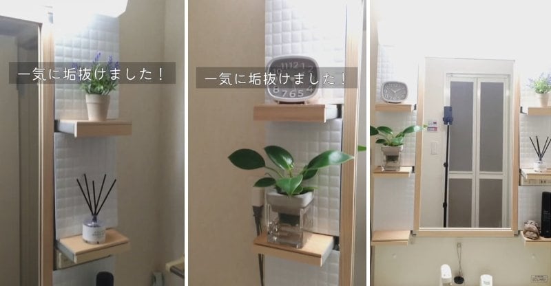 投稿の画像