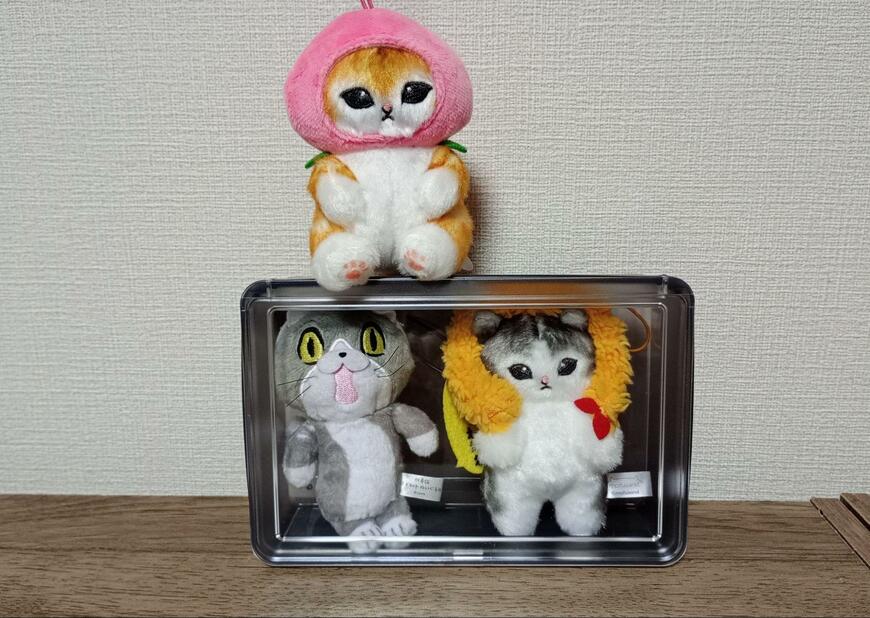 リア、中が見えるボックススモーク画像