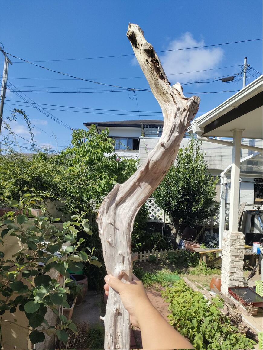 プレゼントされた木材