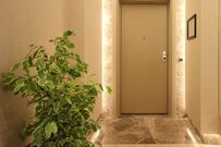 【観葉植物】⽞関がお洒落にキマる︕初⼼者でも育てやすいインテリアグリーン最強4選