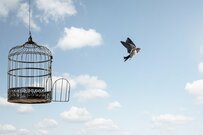 年収600万円世帯の生活レベル「みんなの貯蓄額と負債額」はいくら？