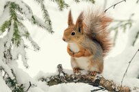 【最新情報】年金生活者支援給付金が2.7％引き上げへ。要件や申請方法をチェック