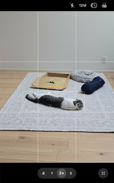 スマホカメラが生命体を検知