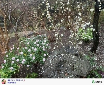 假屋崎省吾の公式ブログ投稿