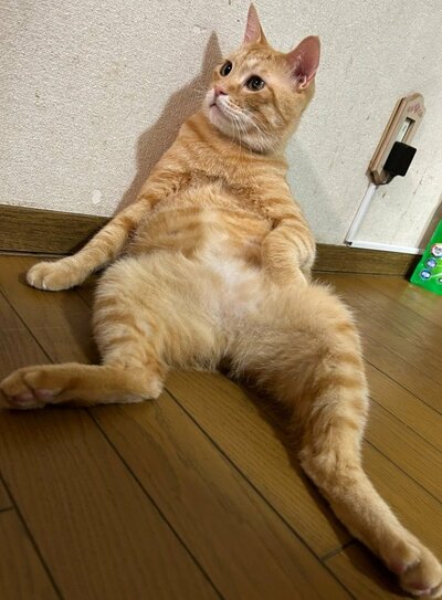 「安定のオッサン座り」