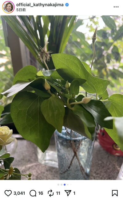 キャシー中島のInstagram投稿