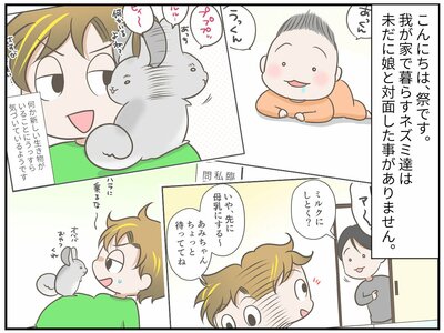 祭さんは、赤ちゃんとチンチラたちとの対面のタイミングを慎重に考えていました。