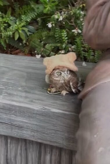 投稿動画のワンシーン