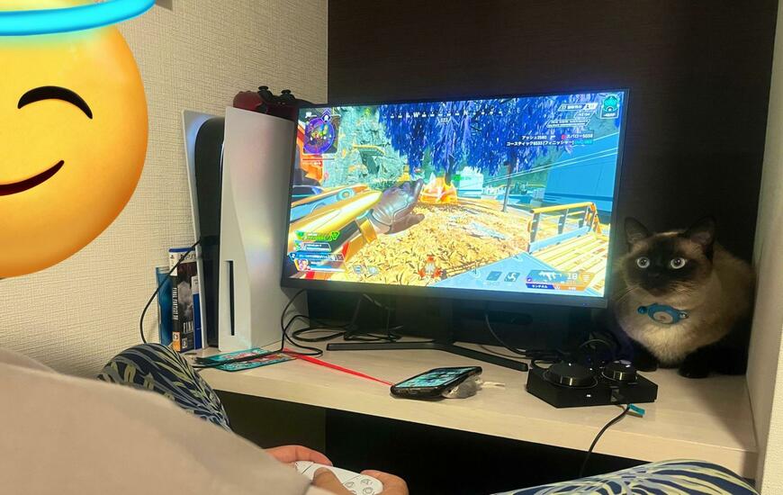 出所：@puyopuyo_nyaa