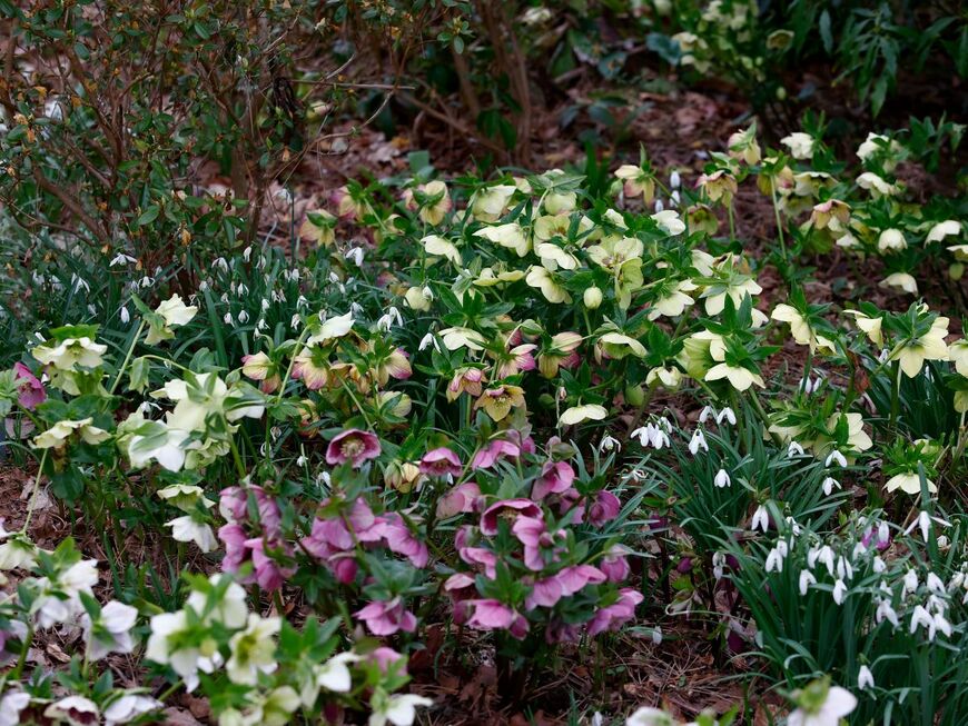 Joe Kuis/shutterstock.com